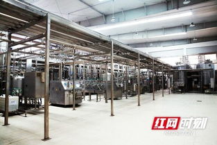 優氏乳業 以“寧鄉智造”技術服務，助力國家學生飲用奶計劃，引領健康食品產業創新